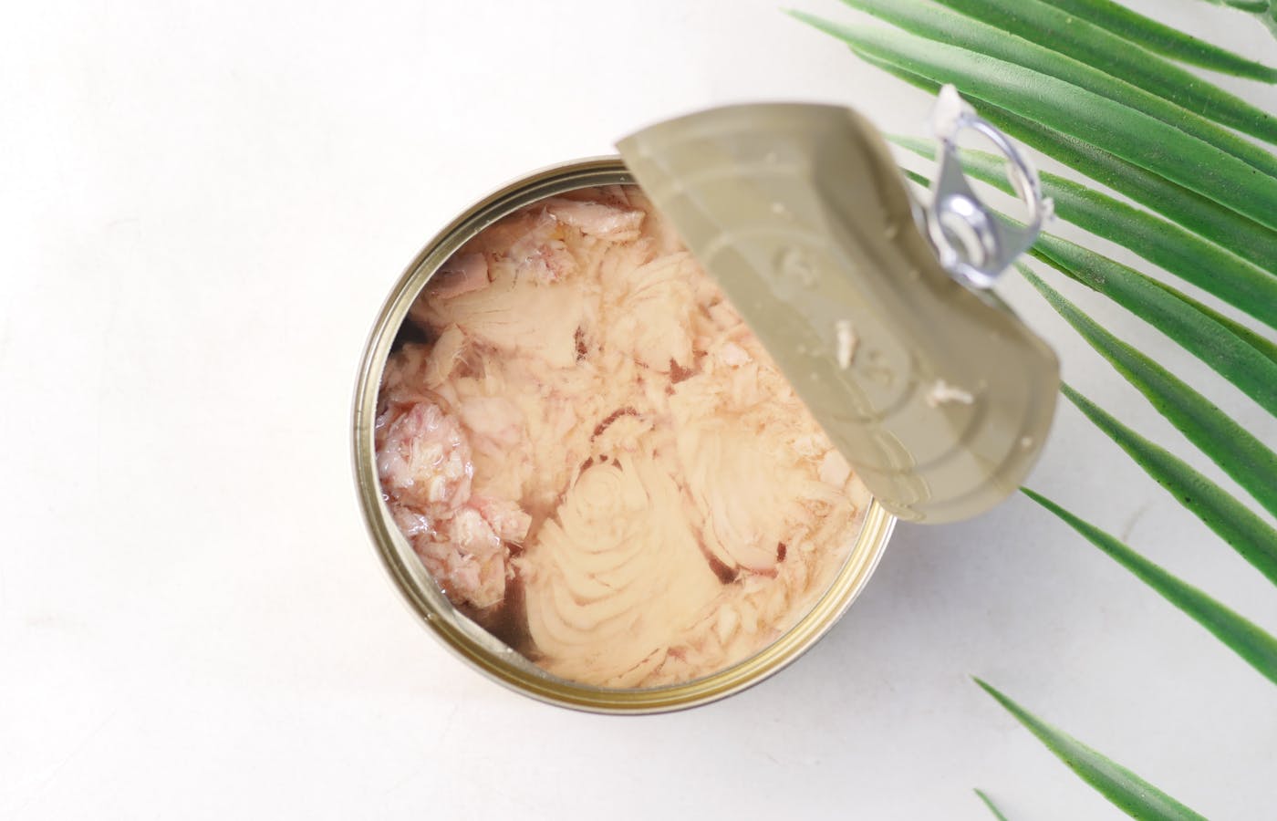Open can of tuna beside green leaves on a white surface