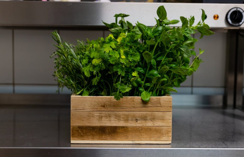 Assorted fresh herbs in a wooden box on a kitchen counter